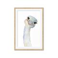 Picture of Ostrich Peekaboo _GroupedProduct_Rectangle_Portrait_Mini_ _GroupedProduct_Rectangle_Portrait_Framed_Matted_
