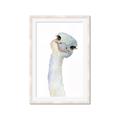 Picture of Ostrich Peekaboo _GroupedProduct_Rectangle_Portrait_Mini_ _GroupedProduct_Rectangle_Portrait_Framed_Matted_