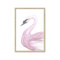 Picture of Pink Swan _GroupedProduct_Rectangle_Portrait_Mini_ _GroupedProduct_Rectangle_Portrait_Framed_Matted_