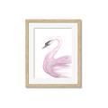 Picture of Pink Swan _GroupedProduct_Rectangle_Portrait_Mini_ _GroupedProduct_Rectangle_Portrait_Framed_Matted_