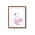 Picture of Pink Swan _GroupedProduct_Rectangle_Portrait_Mini_ _GroupedProduct_Rectangle_Portrait_Framed_Matted_
