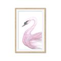 Picture of Pink Swan _GroupedProduct_Rectangle_Portrait_Mini_ _GroupedProduct_Rectangle_Portrait_Framed_Matted_