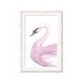 Picture of Pink Swan _GroupedProduct_Rectangle_Portrait_Mini_ _GroupedProduct_Rectangle_Portrait_Framed_Matted_