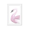 Picture of Pink Swan _GroupedProduct_Rectangle_Portrait_Mini_ _GroupedProduct_Rectangle_Portrait_Framed_Matted_