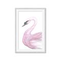 Picture of Pink Swan _GroupedProduct_Rectangle_Portrait_Mini_ _GroupedProduct_Rectangle_Portrait_Framed_Matted_