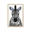 Picture of Zebra Babe _GroupedProduct_Rectangle_Portrait_Mini_ _GroupedProduct_Rectangle_Portrait_Framed_Matted_