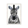 Picture of Zebra Babe _GroupedProduct_Rectangle_Portrait_Mini_ _GroupedProduct_Rectangle_Portrait_Framed_Matted_