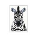 Picture of Zebra Babe _GroupedProduct_Rectangle_Portrait_Mini_ _GroupedProduct_Rectangle_Portrait_Framed_Matted_