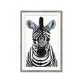 Picture of Zebra Babe _GroupedProduct_Rectangle_Portrait_Mini_ _GroupedProduct_Rectangle_Portrait_Framed_Matted_
