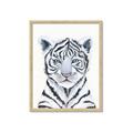 Picture of White Tiger Babe _GroupedProduct_Rectangle_Portrait_Mini_ _GroupedProduct_Rectangle_Portrait_Framed_Matted_