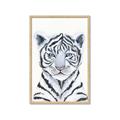 Picture of White Tiger Babe _GroupedProduct_Rectangle_Portrait_Mini_ _GroupedProduct_Rectangle_Portrait_Framed_Matted_