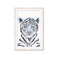 Picture of White Tiger Babe _GroupedProduct_Rectangle_Portrait_Mini_ _GroupedProduct_Rectangle_Portrait_Framed_Matted_