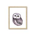 Picture of Little Farm Owl _GroupedProduct_Rectangle_Portrait_Mini_ _GroupedProduct_Rectangle_Portrait_Framed_Matted_