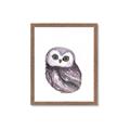 Picture of Little Farm Owl _GroupedProduct_Rectangle_Portrait_Mini_ _GroupedProduct_Rectangle_Portrait_Framed_Matted_