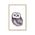 Picture of Little Farm Owl _GroupedProduct_Rectangle_Portrait_Mini_ _GroupedProduct_Rectangle_Portrait_Framed_Matted_