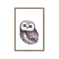 Picture of Little Farm Owl _GroupedProduct_Rectangle_Portrait_Mini_ _GroupedProduct_Rectangle_Portrait_Framed_Matted_