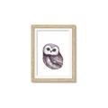 Picture of Little Farm Owl _GroupedProduct_Rectangle_Portrait_Mini_ _GroupedProduct_Rectangle_Portrait_Framed_Matted_