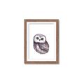 Picture of Little Farm Owl _GroupedProduct_Rectangle_Portrait_Mini_ _GroupedProduct_Rectangle_Portrait_Framed_Matted_