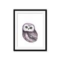 Picture of Little Farm Owl _GroupedProduct_Rectangle_Portrait_Mini_ _GroupedProduct_Rectangle_Portrait_Framed_Matted_