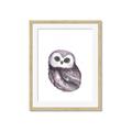 Picture of Little Farm Owl _GroupedProduct_Rectangle_Portrait_Mini_ _GroupedProduct_Rectangle_Portrait_Framed_Matted_