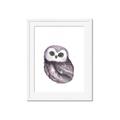 Picture of Little Farm Owl _GroupedProduct_Rectangle_Portrait_Mini_ _GroupedProduct_Rectangle_Portrait_Framed_Matted_