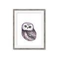 Picture of Little Farm Owl _GroupedProduct_Rectangle_Portrait_Mini_ _GroupedProduct_Rectangle_Portrait_Framed_Matted_