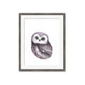 Picture of Little Farm Owl _GroupedProduct_Rectangle_Portrait_Mini_ _GroupedProduct_Rectangle_Portrait_Framed_Matted_