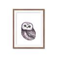Picture of Little Farm Owl _GroupedProduct_Rectangle_Portrait_Mini_ _GroupedProduct_Rectangle_Portrait_Framed_Matted_