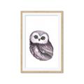 Picture of Little Farm Owl _GroupedProduct_Rectangle_Portrait_Mini_ _GroupedProduct_Rectangle_Portrait_Framed_Matted_