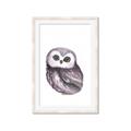 Picture of Little Farm Owl _GroupedProduct_Rectangle_Portrait_Mini_ _GroupedProduct_Rectangle_Portrait_Framed_Matted_