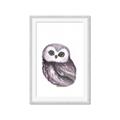 Picture of Little Farm Owl _GroupedProduct_Rectangle_Portrait_Mini_ _GroupedProduct_Rectangle_Portrait_Framed_Matted_