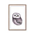 Picture of Little Farm Owl _GroupedProduct_Rectangle_Portrait_Mini_ _GroupedProduct_Rectangle_Portrait_Framed_Matted_