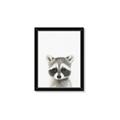 Picture of Coon Baby _GroupedProduct_Rectangle_Portrait_Mini_ _GroupedProduct_Rectangle_Portrait_Framed_Matted_