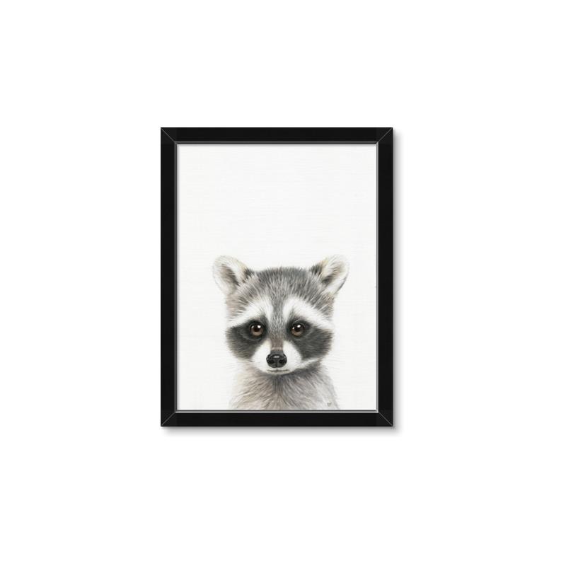 Picture of Coon Baby _GroupedProduct_Rectangle_Portrait_Mini_ _GroupedProduct_Rectangle_Portrait_Framed_Matted_