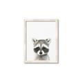 Picture of Coon Baby _GroupedProduct_Rectangle_Portrait_Mini_ _GroupedProduct_Rectangle_Portrait_Framed_Matted_