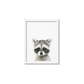 Picture of Coon Baby _GroupedProduct_Rectangle_Portrait_Mini_ _GroupedProduct_Rectangle_Portrait_Framed_Matted_