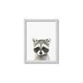 Picture of Coon Baby _GroupedProduct_Rectangle_Portrait_Mini_ _GroupedProduct_Rectangle_Portrait_Framed_Matted_