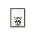 Picture of Coon Baby _GroupedProduct_Rectangle_Portrait_Mini_ _GroupedProduct_Rectangle_Portrait_Framed_Matted_