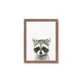 Picture of Coon Baby _GroupedProduct_Rectangle_Portrait_Mini_ _GroupedProduct_Rectangle_Portrait_Framed_Matted_