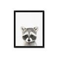 Picture of Coon Baby _GroupedProduct_Rectangle_Portrait_Mini_ _GroupedProduct_Rectangle_Portrait_Framed_Matted_