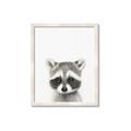 Picture of Coon Baby _GroupedProduct_Rectangle_Portrait_Mini_ _GroupedProduct_Rectangle_Portrait_Framed_Matted_