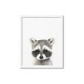 Picture of Coon Baby _GroupedProduct_Rectangle_Portrait_Mini_ _GroupedProduct_Rectangle_Portrait_Framed_Matted_