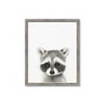 Picture of Coon Baby _GroupedProduct_Rectangle_Portrait_Mini_ _GroupedProduct_Rectangle_Portrait_Framed_Matted_