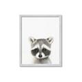 Picture of Coon Baby _GroupedProduct_Rectangle_Portrait_Mini_ _GroupedProduct_Rectangle_Portrait_Framed_Matted_