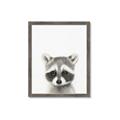 Picture of Coon Baby _GroupedProduct_Rectangle_Portrait_Mini_ _GroupedProduct_Rectangle_Portrait_Framed_Matted_