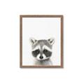 Picture of Coon Baby _GroupedProduct_Rectangle_Portrait_Mini_ _GroupedProduct_Rectangle_Portrait_Framed_Matted_