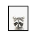 Picture of Coon Baby _GroupedProduct_Rectangle_Portrait_Mini_ _GroupedProduct_Rectangle_Portrait_Framed_Matted_