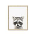 Picture of Coon Baby _GroupedProduct_Rectangle_Portrait_Mini_ _GroupedProduct_Rectangle_Portrait_Framed_Matted_