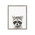 Picture of Coon Baby _GroupedProduct_Rectangle_Portrait_Mini_ _GroupedProduct_Rectangle_Portrait_Framed_Matted_