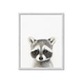 Picture of Coon Baby _GroupedProduct_Rectangle_Portrait_Mini_ _GroupedProduct_Rectangle_Portrait_Framed_Matted_